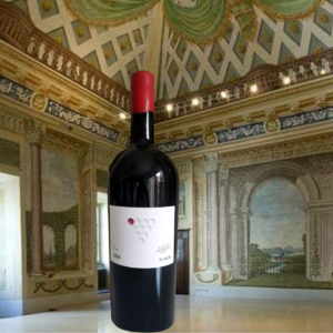 LISTINO RISERVATO: Rocca dei Simoncelli Tosco 2016 Magnum Rosso