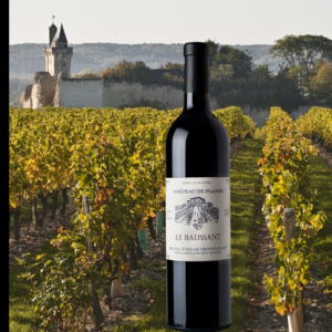 CATALOGO: Château de Plaissis Le Baussant 2010 Provence Rouge
