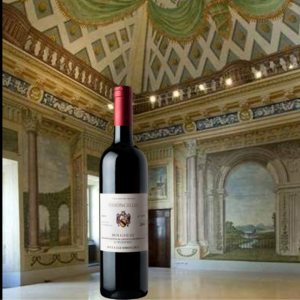 CATALOGO: Rocca dei Simoncelli Simoncello 2008 Bolgheri Superiore