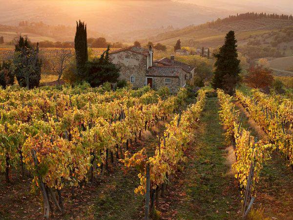 LISTINO RISERVATO: Rocca dei Simoncelli Scipione Riserva 2011 Chianti Classico - immagine 3