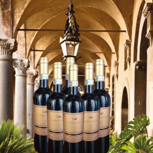CATALOGO: Verticale Conti Simoncelli Carvajale 2014/2016/2017 Brunello di Montalcino