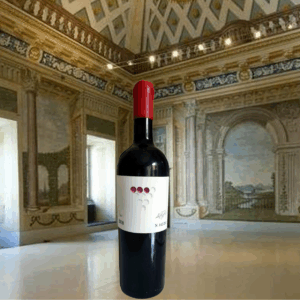 Rocca dei Simoncelli Tosco 2020
